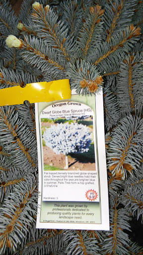 Garden Center «Frank Otte Nursery & Garden», reviews and photos, 7505 River Rd, Prospect, KY 40059, USA