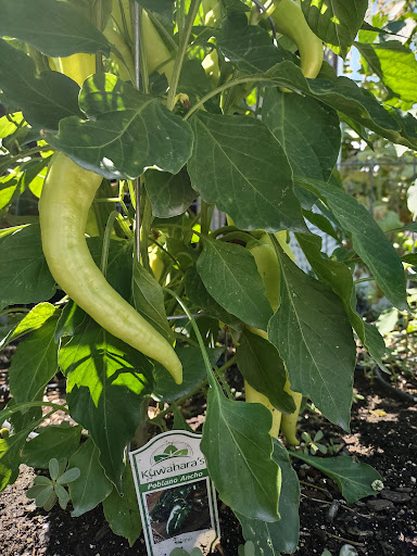 Produce Market «Kuwahara Farms», reviews and photos, 736 12300 S, Draper, UT 84020, USA