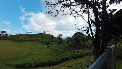 La Tigra de Venado - H62F+7C3, Provincia de Alajuela, Tigra, Costa Rica