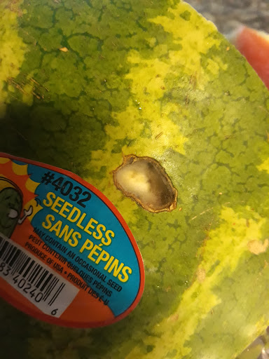 Butcher Shop «La Michoacana Meat Market», reviews and photos, 4214 Ayers St, Corpus Christi, TX 78415, USA