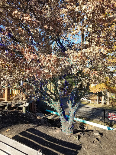 Theme Park «Six Flags New England», reviews and photos, 1623 Main St, Agawam, MA 01001, USA