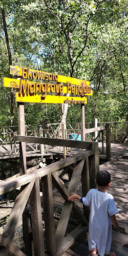 Ekowisata Mangrove Kampung Baru, Penajam