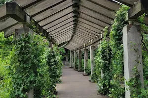 Minnehaha Falls Pergola Garden image