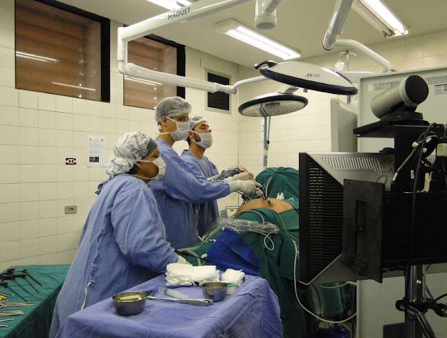 Opiniones de Dra. Sandra Hasbun Atala Cirugía Vascular Y Endovascular en Talca - Cardiólogo