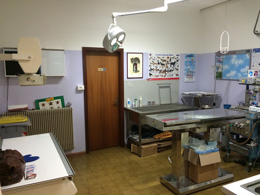 Pensioni per cani e dog hotel a Ambulatorio Emergenze Veterinarie