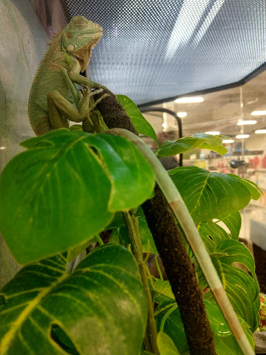 Pet Supply Store «Petco Animal Supplies», reviews and photos, 8010 Wedgewood Ln N, Maple Grove, MN 55369, USA