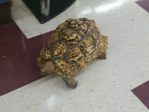 Pet Store «Salisbury Super Pet», reviews and photos, 329 Civic Ave, Salisbury, MD 21804, USA