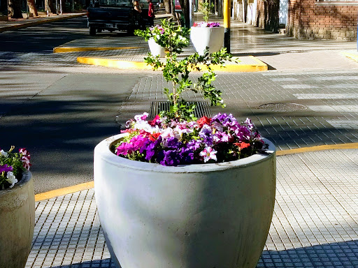 Gonzalo Germán Estilista Peluqueria