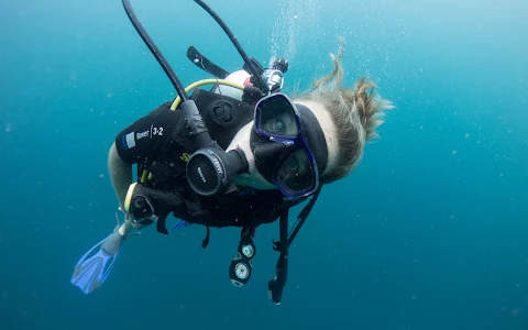 The Diver's Boat image