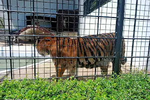 Bukidnon Zoological Park image