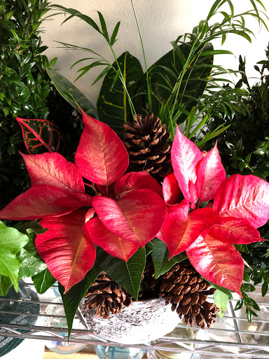 Florist «Concepts In Bloom», reviews and photos, 378 SE Port St Lucie Blvd #1004, Port St Lucie, FL 34984, USA