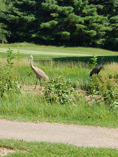Golf Course «Elbel Golf Course», reviews and photos, 26595 Auten Rd, South Bend, IN 46628, USA