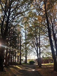 久喜菖蒲公園