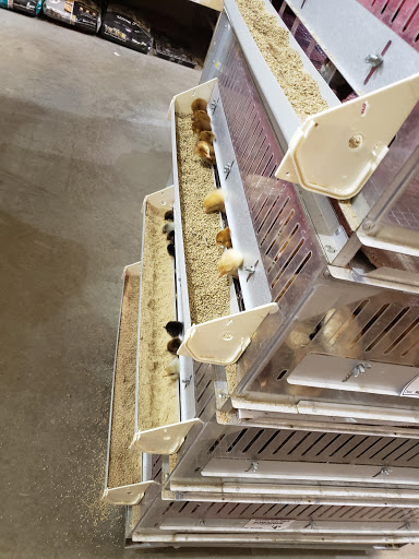 Farm Equipment Supplier «Columbia Farm Supply», reviews and photos, 170 Bear Creek Pike, Columbia, TN 38401, USA