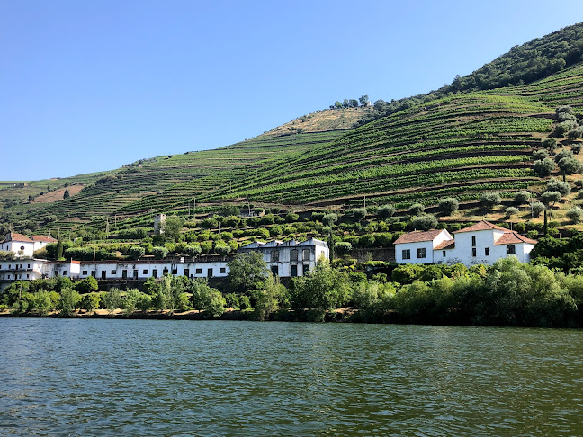 Douro Exclusive - Douro Valley Tours - Agência de viagens