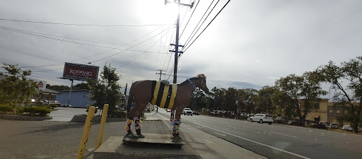 Pet Supply Store «Western Feed & Pet Supply», reviews and photos, 8980 Greenback Ln, Orangevale, CA 95662, USA
