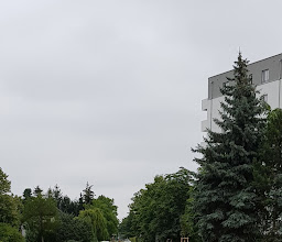 Heinz-Graffunder Park photo