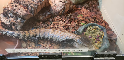 Pet Store «Olathe Pet Shop», reviews and photos, 16651 151st St, Olathe, KS 66062, USA