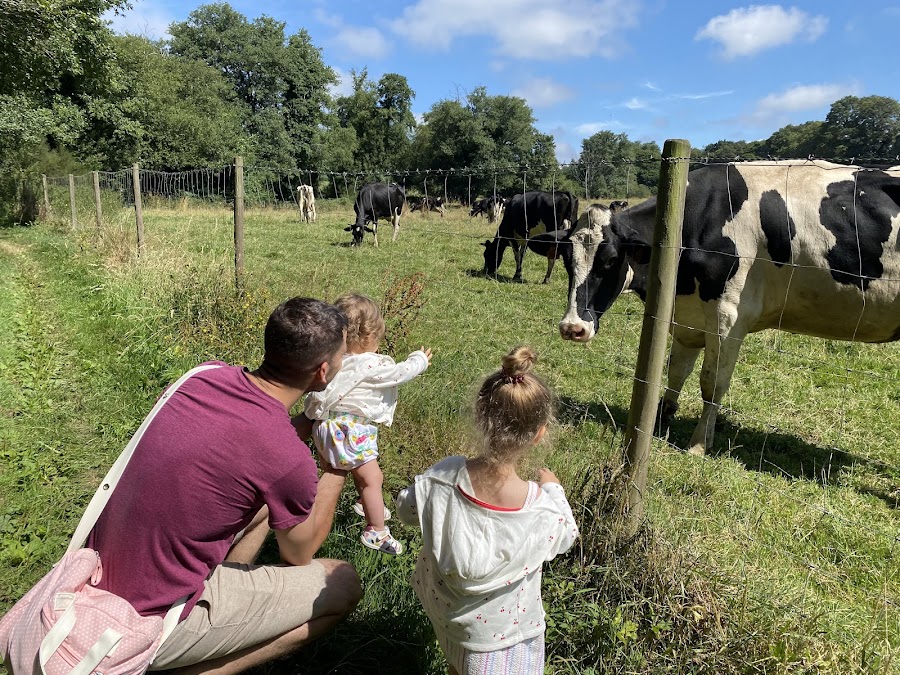 Casa Grande de Xanceda
