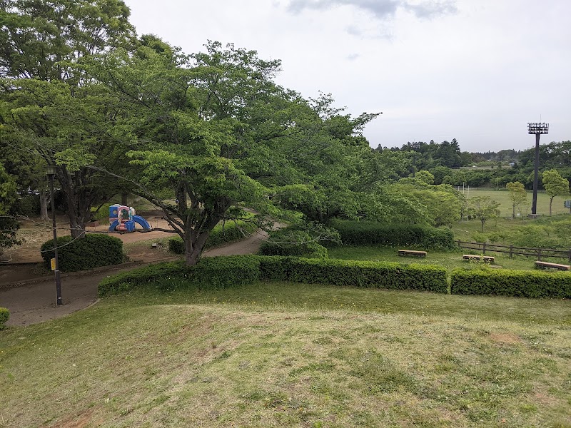 酒々井総合公園 千葉県酒々井町墨 公園 公園 グルコミ
