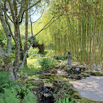 Photo n° 44 de l'avis de William.i fait le 27/06/2023 à 20:03 pour Les jardins aquatiques d'Acorus à Autoreille