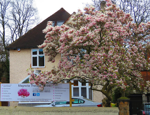 The Magnolia Therapy Centre Nottingham