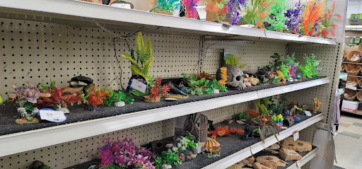 Pet Store «Coral Reef Pet Center», reviews and photos, 7723 W Lawrence Ave, Norridge, IL 60706, USA