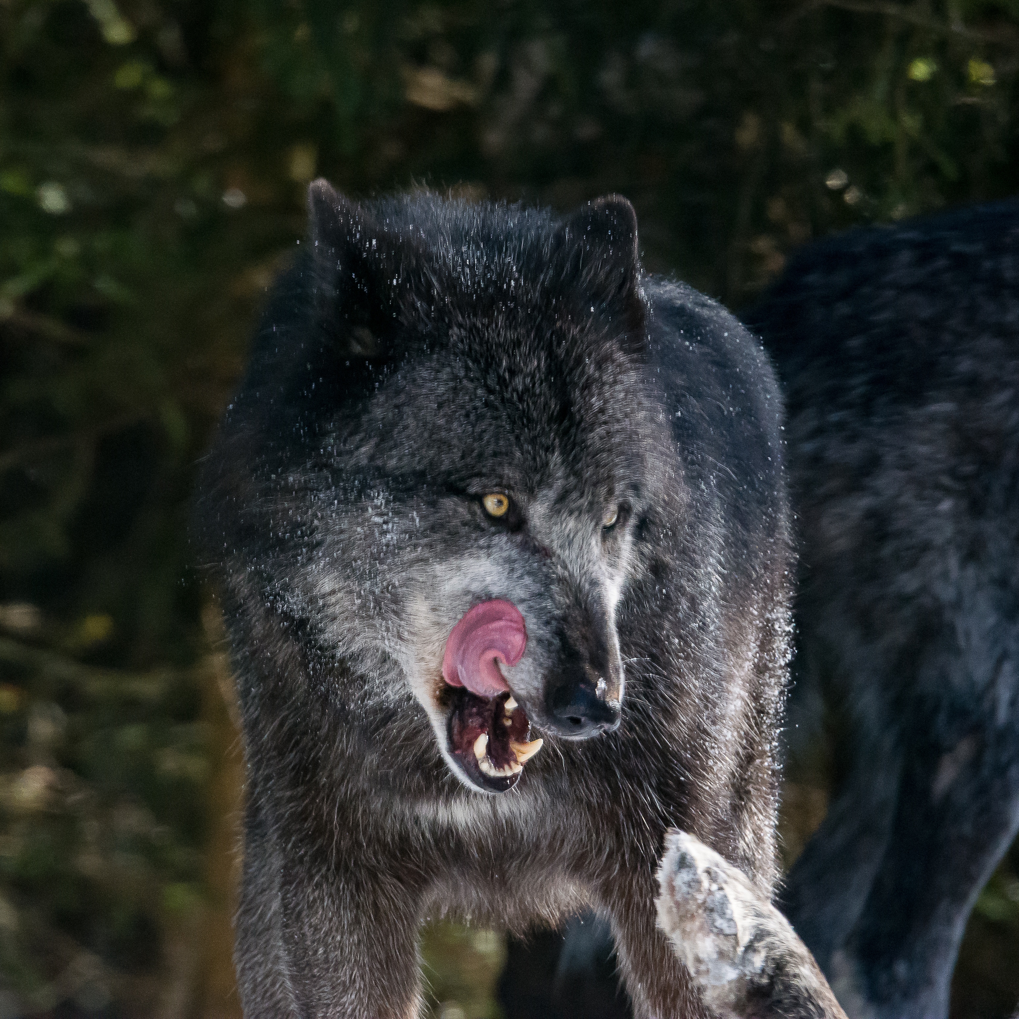 Photo n° 1 de l'avis de A.S.I..s fait le 22/02/2018 à 10:00