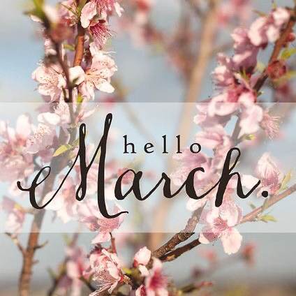 Auto Insurance Agency «A to Z Insurance Group», reviews and photos