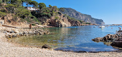 Photo de Port d'Esclanya avec petite baie