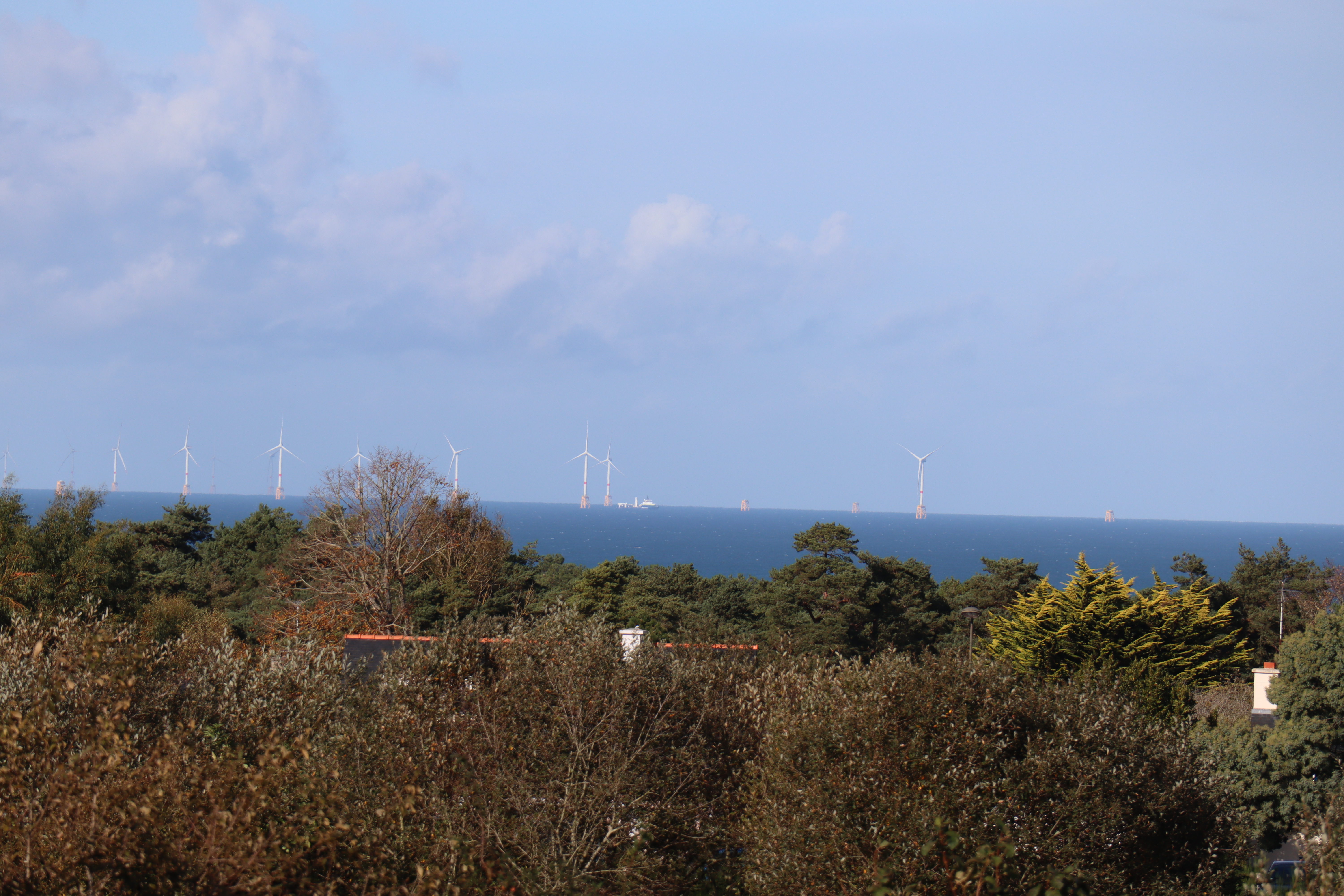 Photo n° 2 de l'avis de François.e fait le 04/11/2023 à 23:13