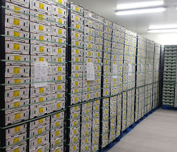 Aguacaturry Empacadora De Aguacate photo