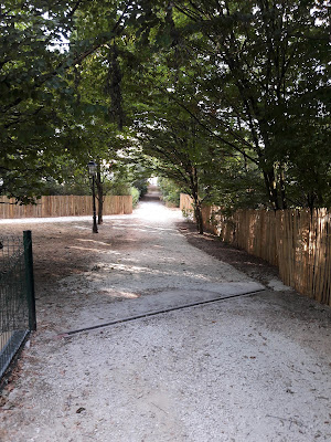 Bois de l'Aurore à Antony