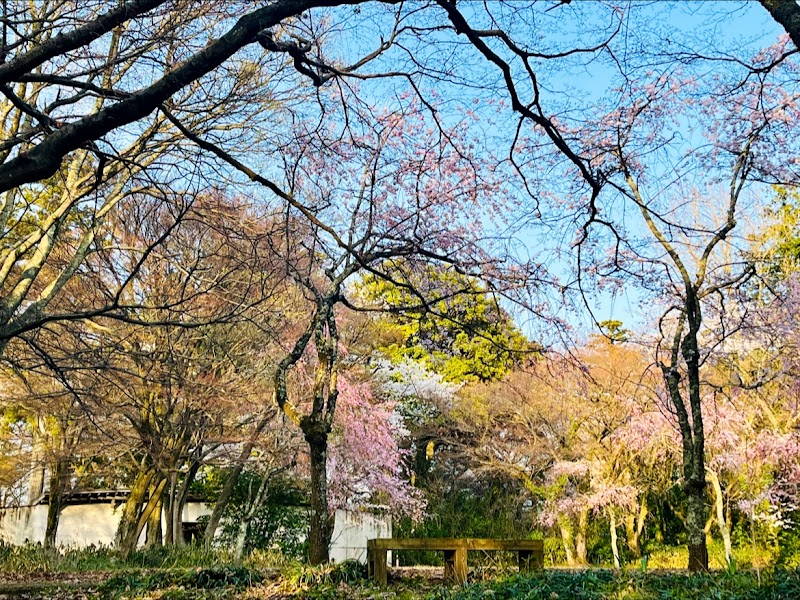 大堰宮公園