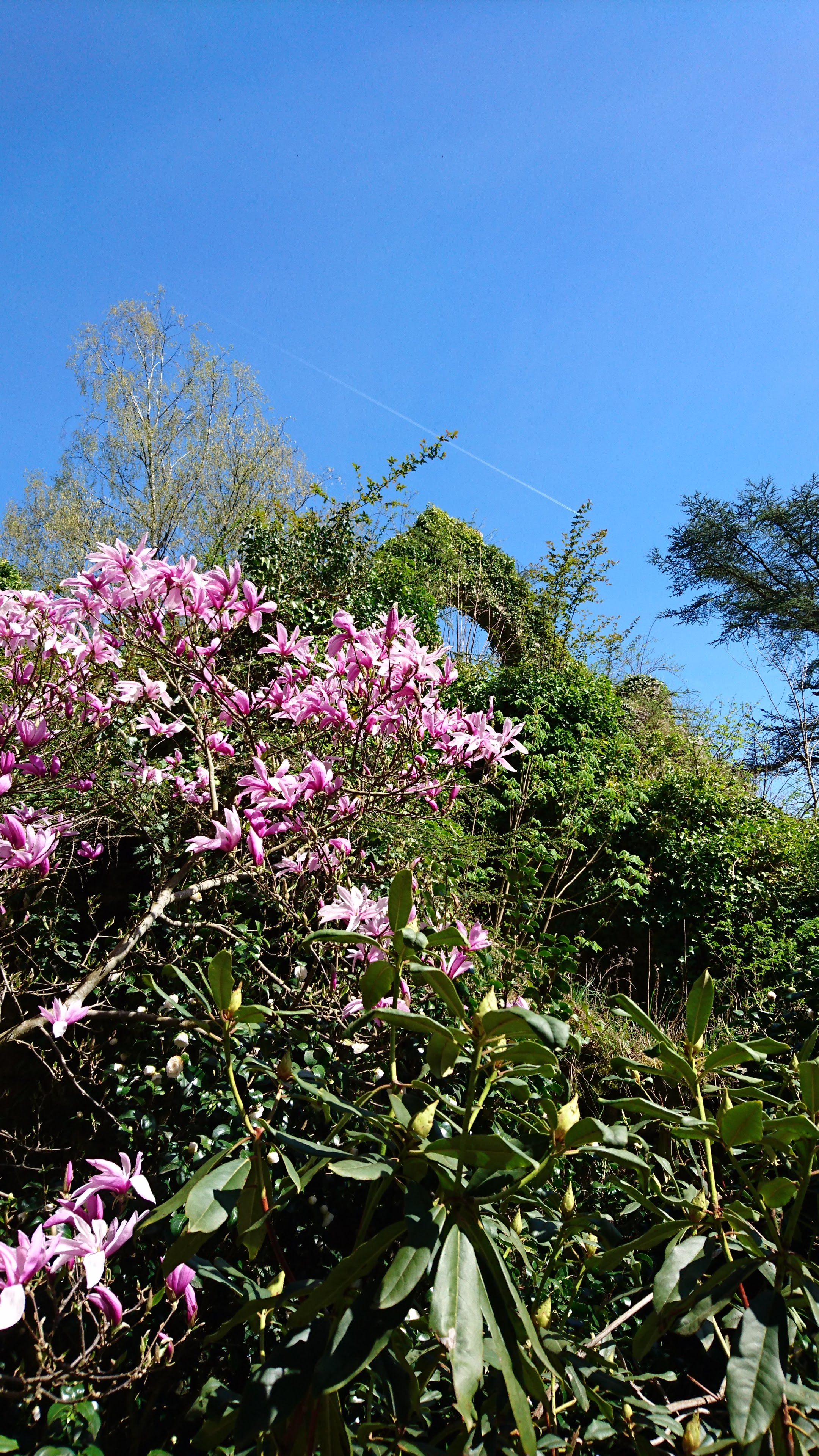 Photo n° 8 de l'avis de Pascale.o fait le 18/04/2018 à 14:11
