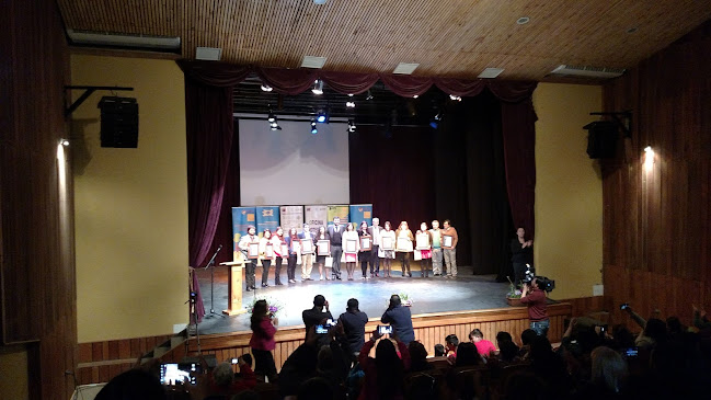 Opiniones de Centro Cultural Palace en Coquimbo - Escuela de danza