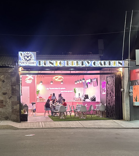 Punto Berry Garden