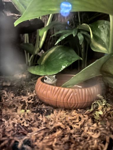 Pet Supply Store «Petco Animal Supplies», reviews and photos, 178 Township Blvd, Camillus, NY 13031, USA