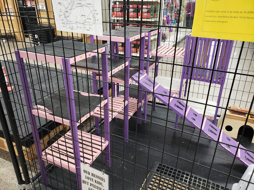 Department Store «Runnings of Brockport», reviews and photos, 4828 Lake Rd N, Brockport, NY 14420, USA