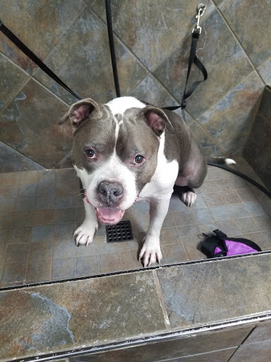 Pet Store «Pet Valu», reviews and photos, 604 Plaza Dr, Newark, DE 19702, USA