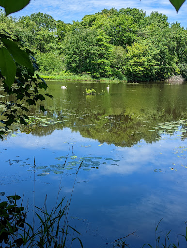 Park «Acushnet Sawmill», reviews and photos, 32 Mill Rd, Acushnet, MA 02743, USA