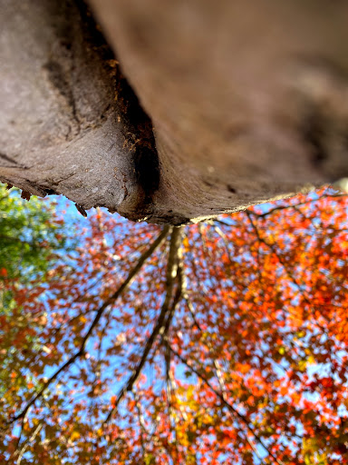 Park «Jones Bridge Park», reviews and photos, 4901 E Jones Bridge Rd, Peachtree Corners, GA 30092, USA