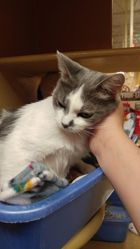 Pet Supply Store «PetSmart», reviews and photos, 2300 Gary Farm Blvd #600, Bowling Green, KY 42104, USA