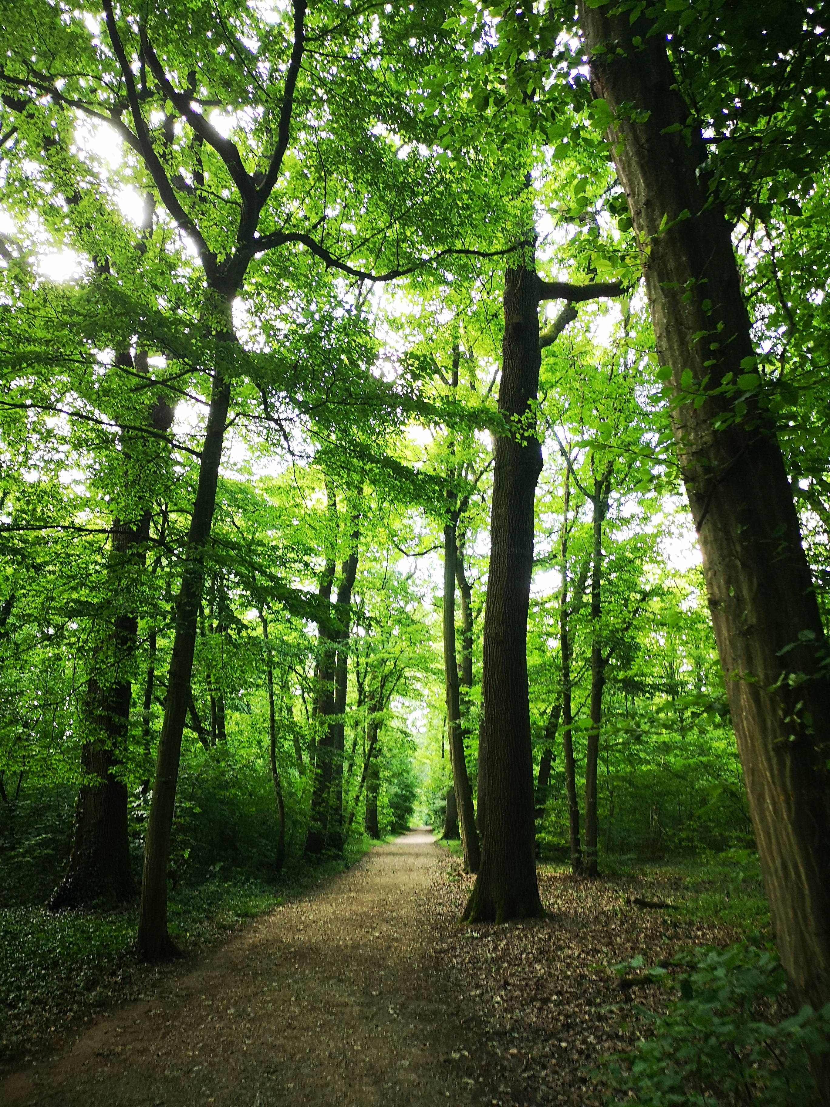 Photo n° 3 de l'avis de Frédéric.H fait le 25/05/2020 à 17:41
