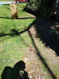 Mikes Lawn Service - Photo 4 - Car repair in Swansea, MA, Providence