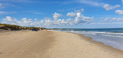 Foto av Tversted Beach med lång rak strand
