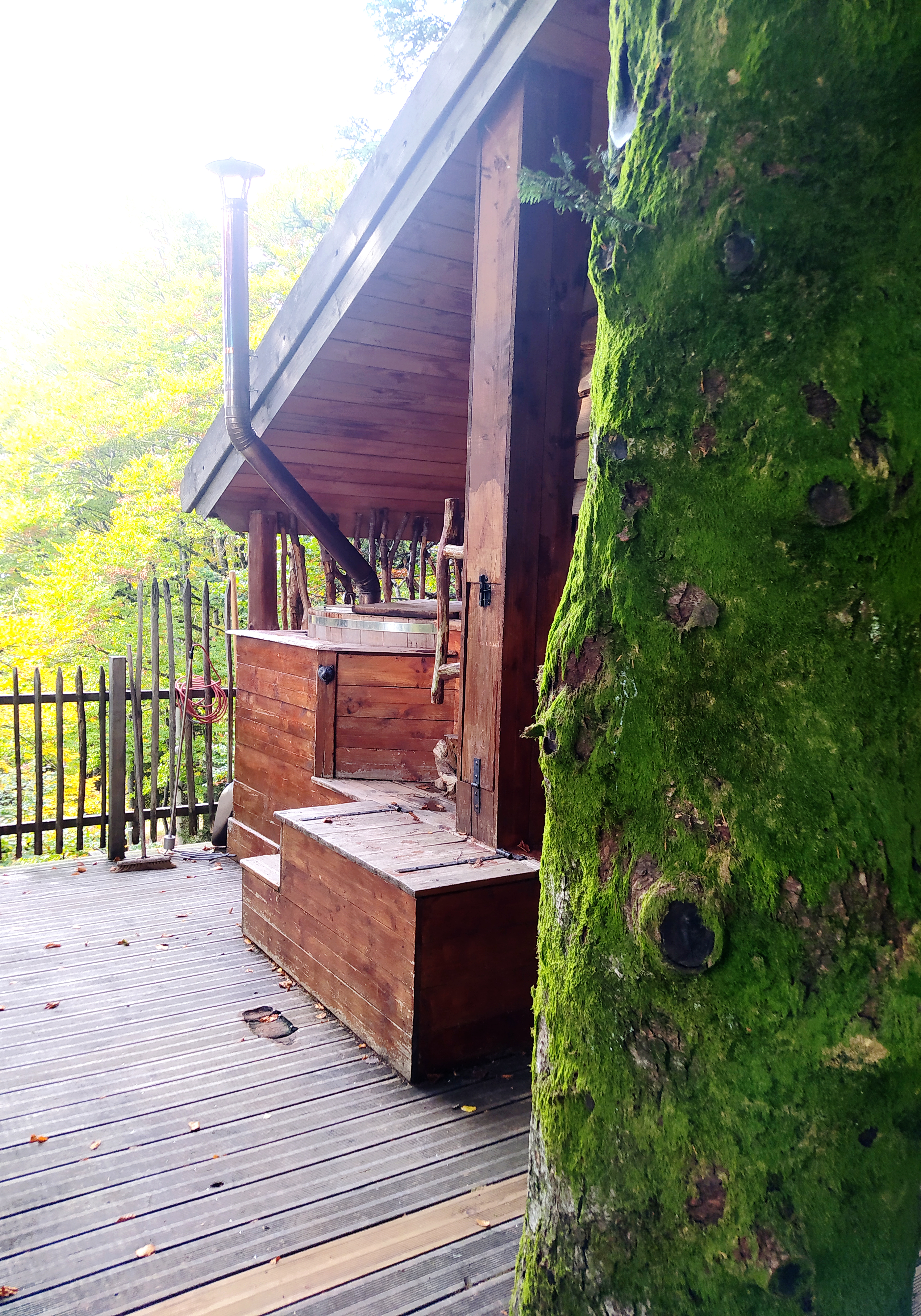 Photo n° 1 de l'avis de Angélina.c fait le 23/01/2023 à 15:50