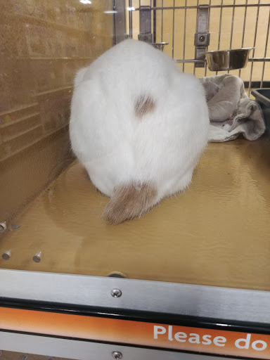 Pet Supply Store «PetSmart», reviews and photos, 7177 SE 29th St, Midwest City, OK 73110, USA