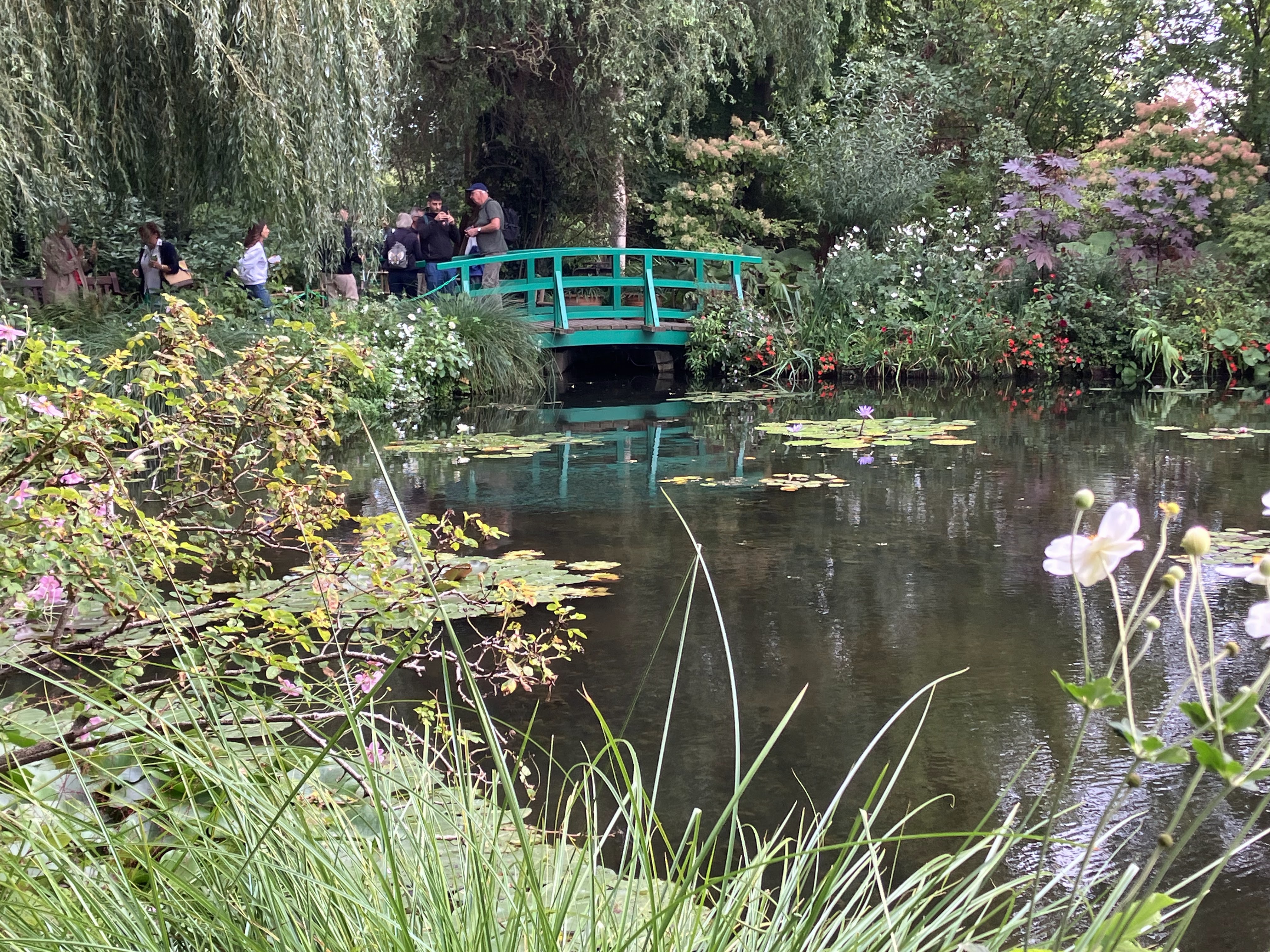 Photo n° 1 de l'avis de PHILIPPE.A fait le 22/09/2023 à 19:33