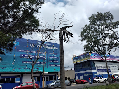 Universidad UniverMilenium Plantel Nezahualcóyotl